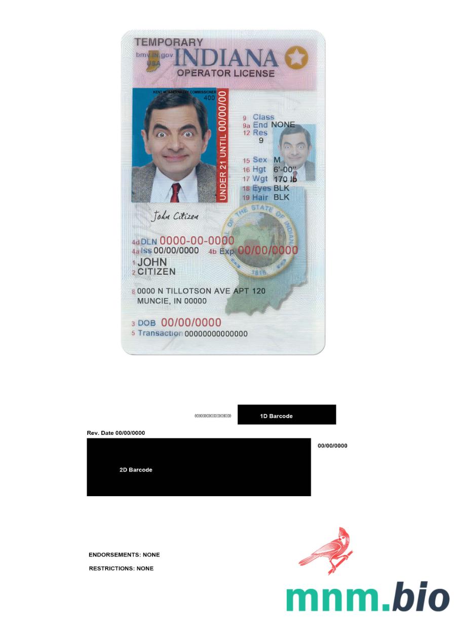 Prawo jazdy USA Indiana (operator) do lat 21 w formacie PSD